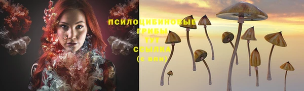 дурь Усолье-Сибирское