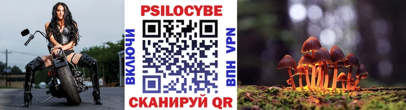 Купить закладки  Чкаловск  Галлюциногенные грибы Magic Shrooms 